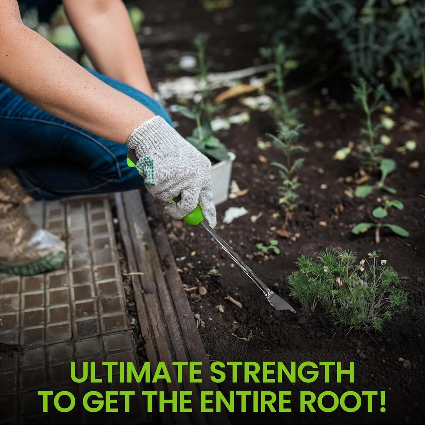 Dandelion Weeder Tool with Ergonomic Handle - Stainless Steel Weed Puller for Planting, Weeding, Flower and Vegetable Care in Lawn Garden Yard | Rust Resistant - 1 Case (50 Pcs)