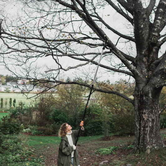 2-in-1 Extendable Tree Pruner and Pole Saw (Extends 7.9 - 12 feet) with Rotating Head, Pruning Stik Model with15-Inch Double-Grind Saw Blade, and Double Locking System